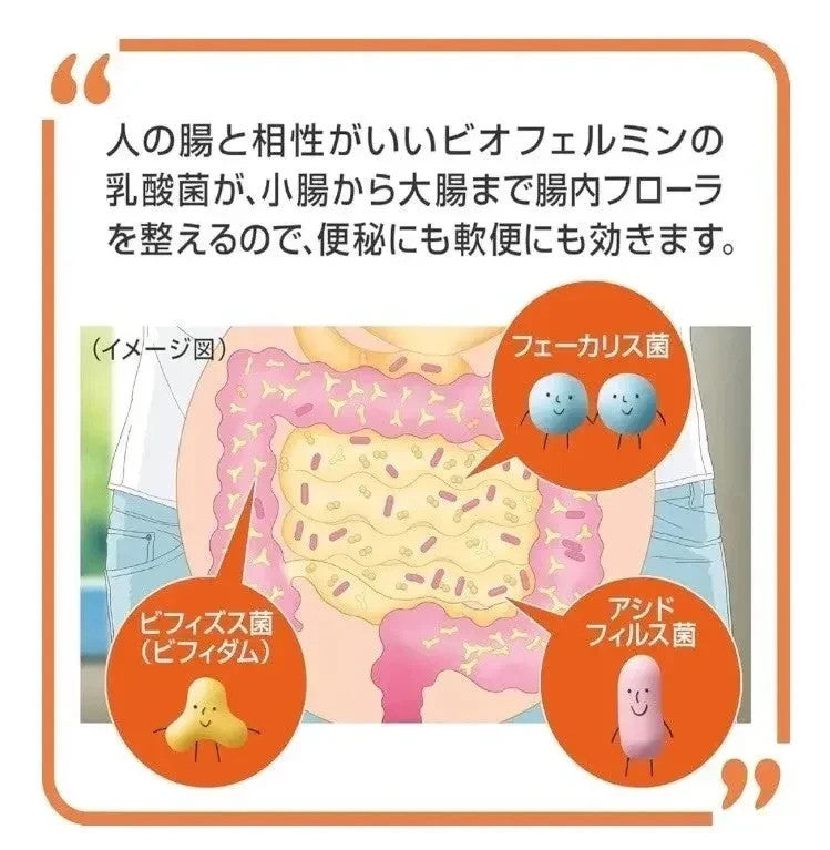 Taisho Pharmaceutical New Shin Biofermin S Intestinal flora 540 Tablets x 2 set