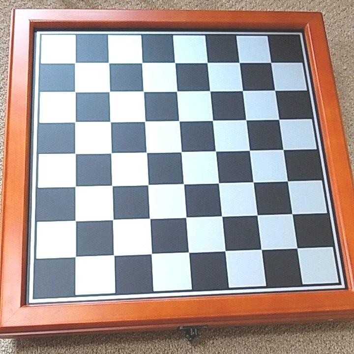 Dog and Cat Chess Set Board Game Interior rare Used