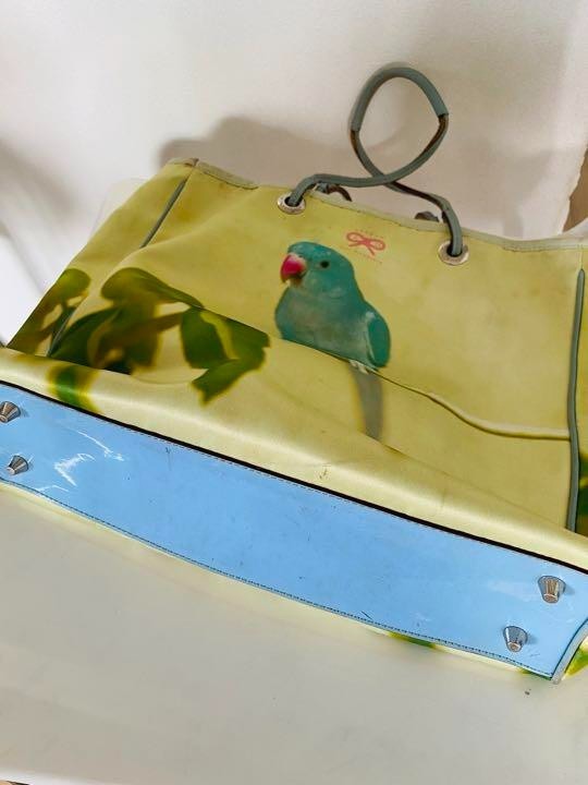 ANYA HINDMARCH Animal Bird Printed Tote Bag Handbag Green JAPAN