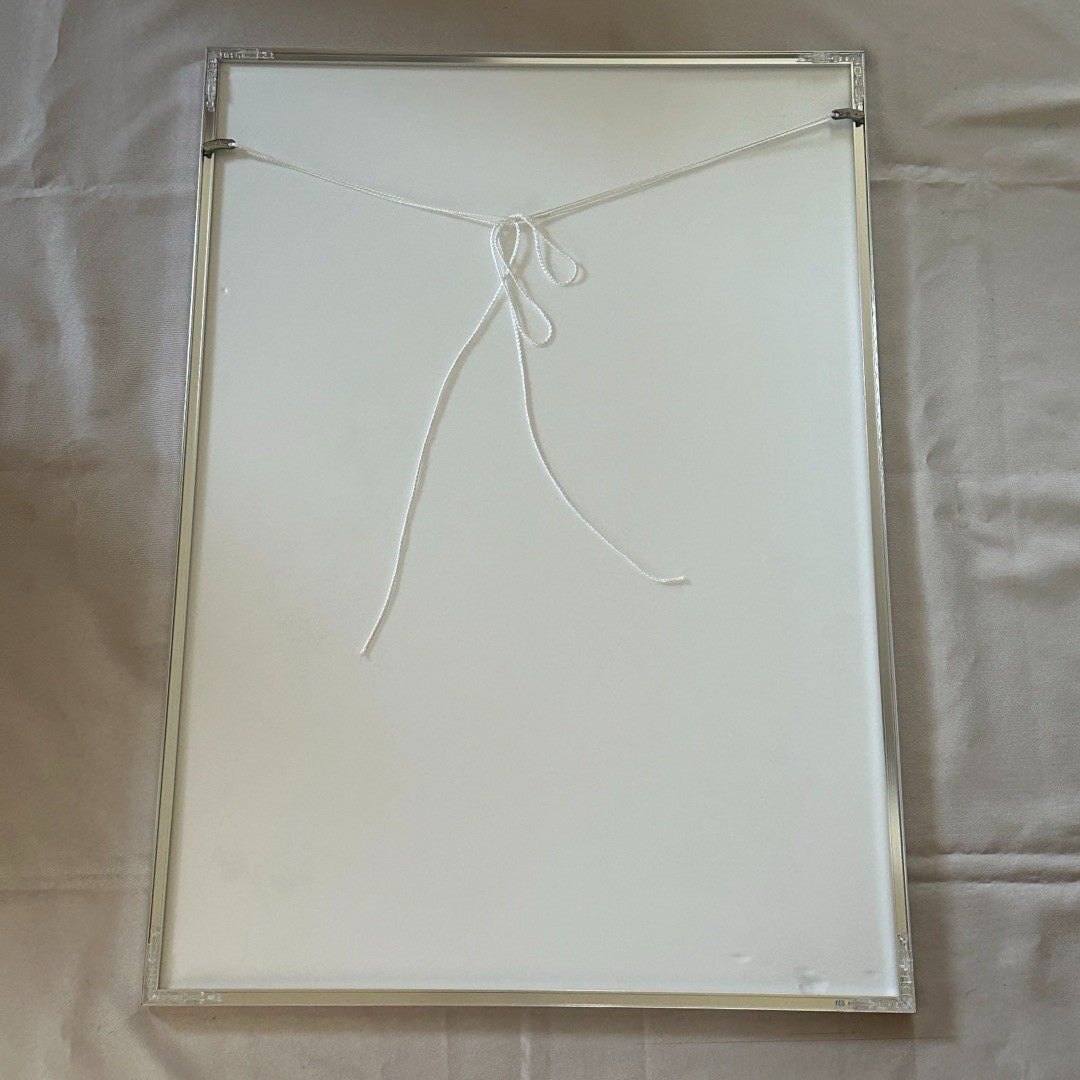 Plastic Tree Fukuro Framed Rare Promo Poster B2 Size Japanese Visual Kei Japan