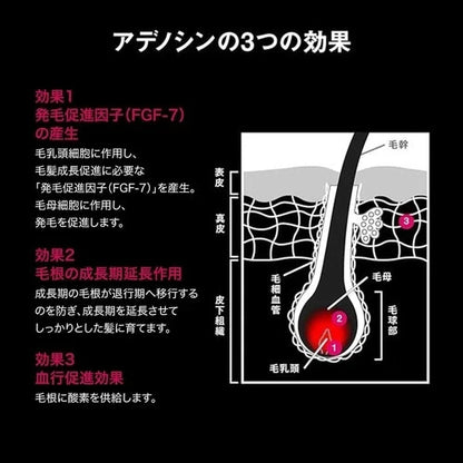 Shiseido Adenogen EX L Size 300ml Hair Regrowth Promoter Hair Growth Liquid JP
