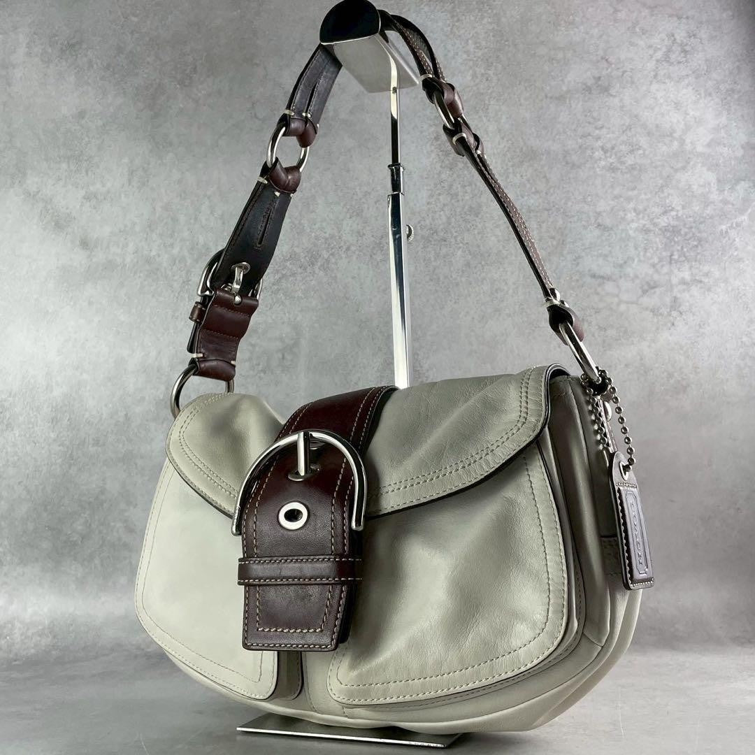 Coach Soho Hobo Leather Shoulder Bag Y2K