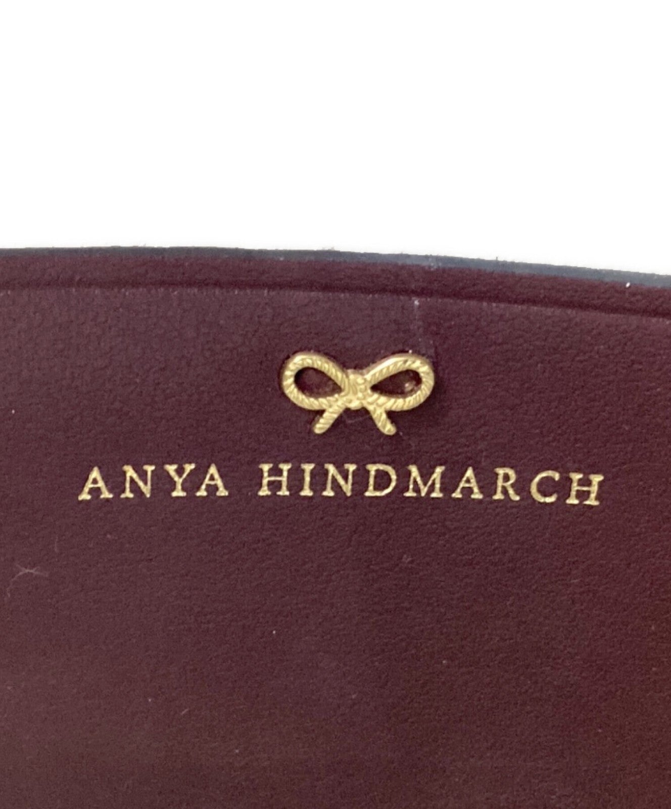 ANYA HINDMARCH Crossbody Mini Eyes Right in Circus Shoulder Bag Brown Authentic