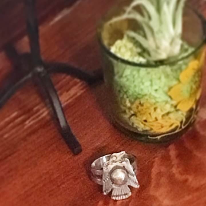 Indian jewelry Thunderbird silver ring, US size 8