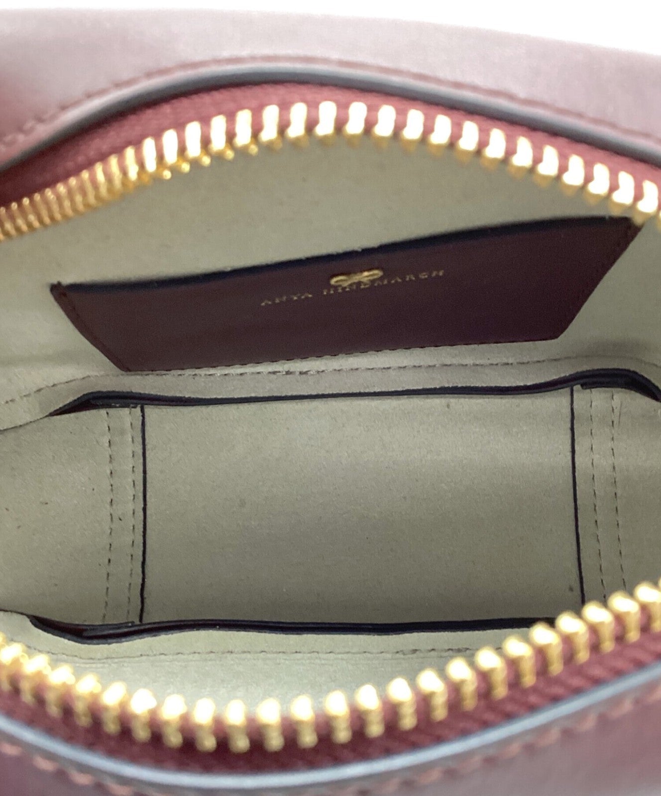 ANYA HINDMARCH Crossbody Mini Eyes Right in Circus Shoulder Bag Brown Authentic
