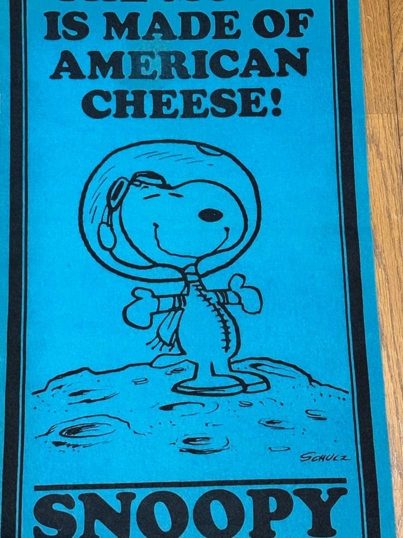 Rare 1970s Snoopy Astronaut Felt Banner Pennant Blue Peanuts Vintage Used JAPAN