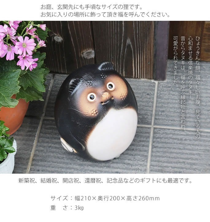 Shigaraki Ware Maru Nagomi Tanuki Statue Pottery Lucky Charm Japan NEW