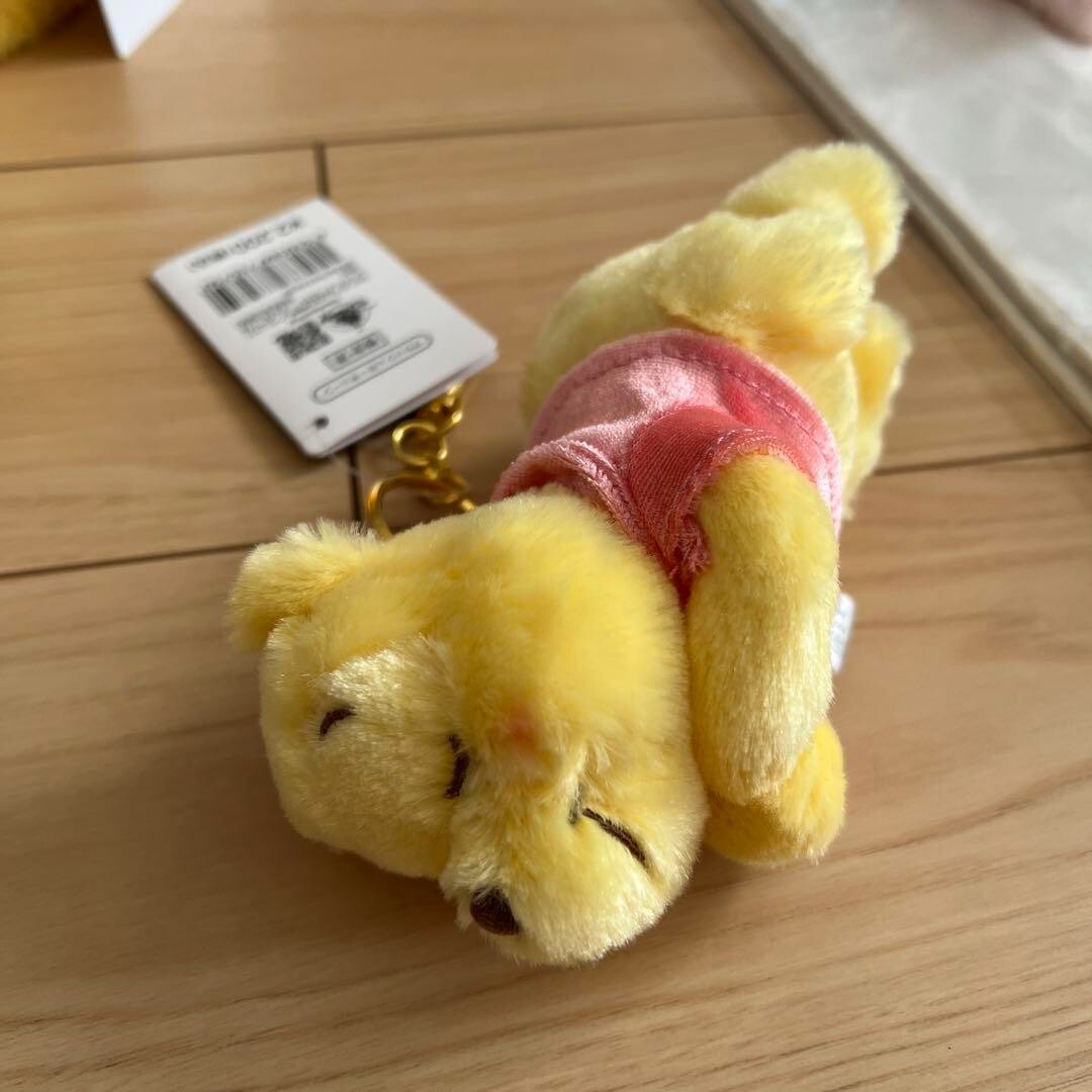Winnie The Pooh Plush Keychain Tote Bag Set
