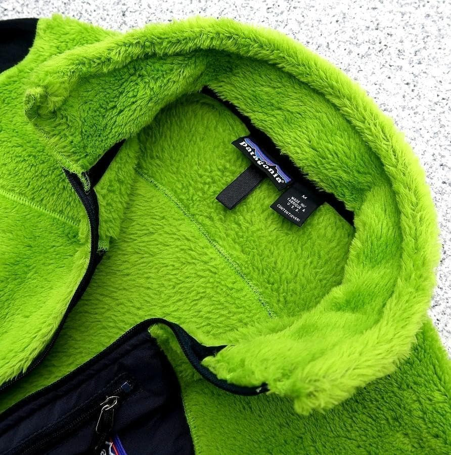 Patagonia Alpine Fur Pullover R2 Fleece