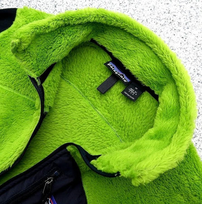 Patagonia Alpine Fur Pullover R2 Fleece