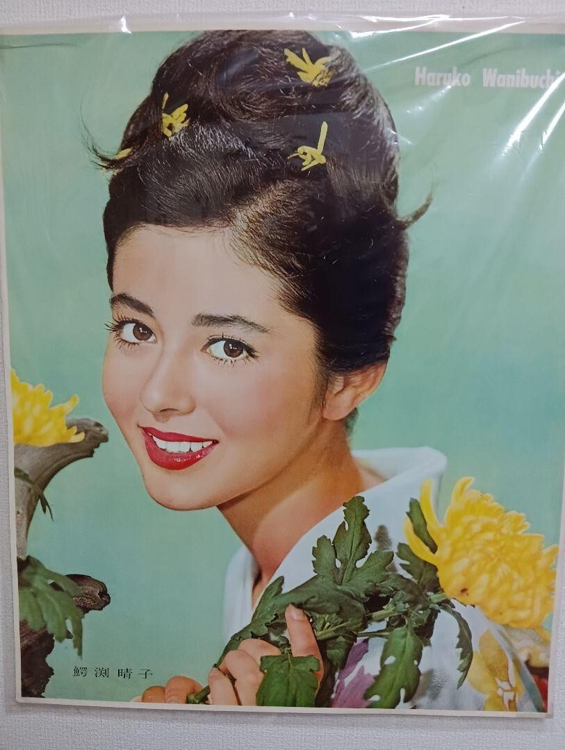 Showa retro period vertical Actress Haruko Wanibuchi printed poster item.