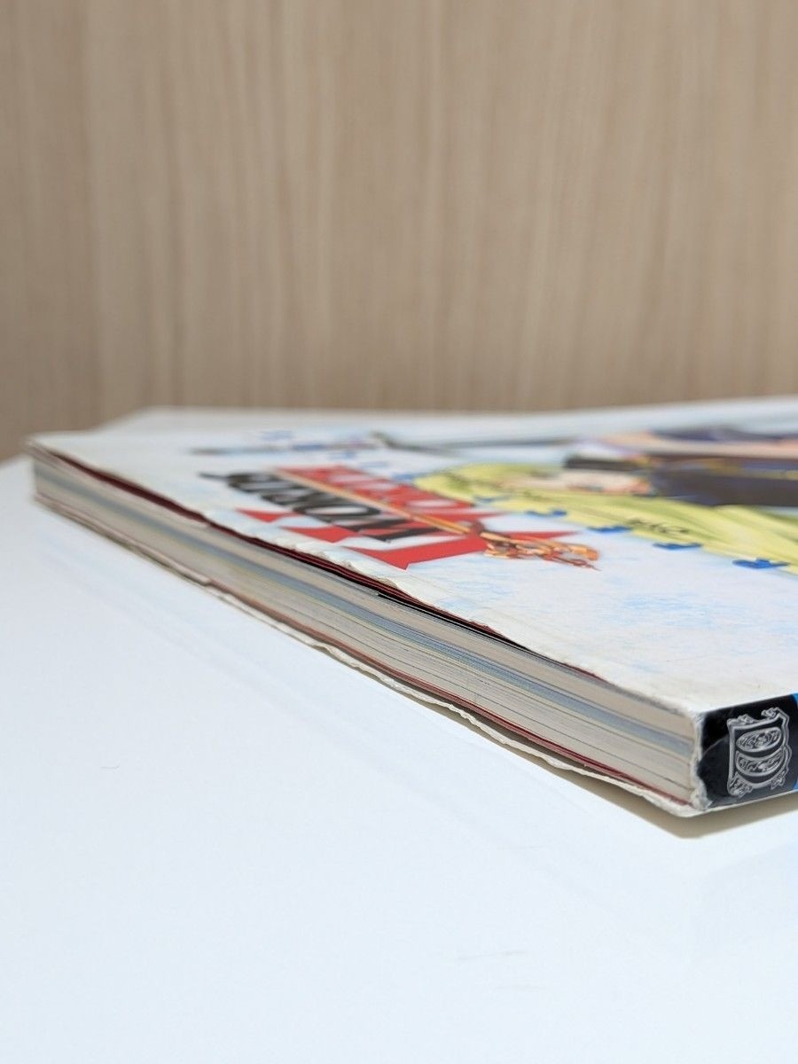 Words Worth PERFECT FILES Art Book Official OVA Anime ASOCOM Rare Edition