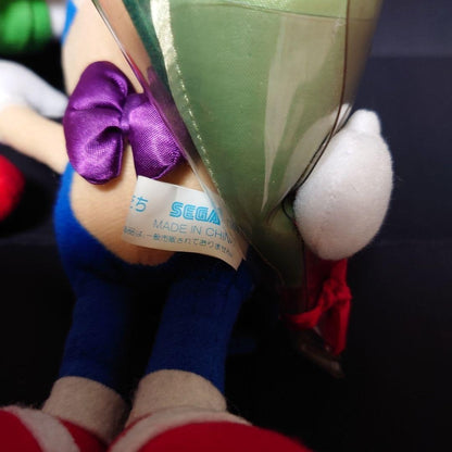 Extremely rare Sonic SEGA plush toy with Sonic and friends dressed up, flower bo