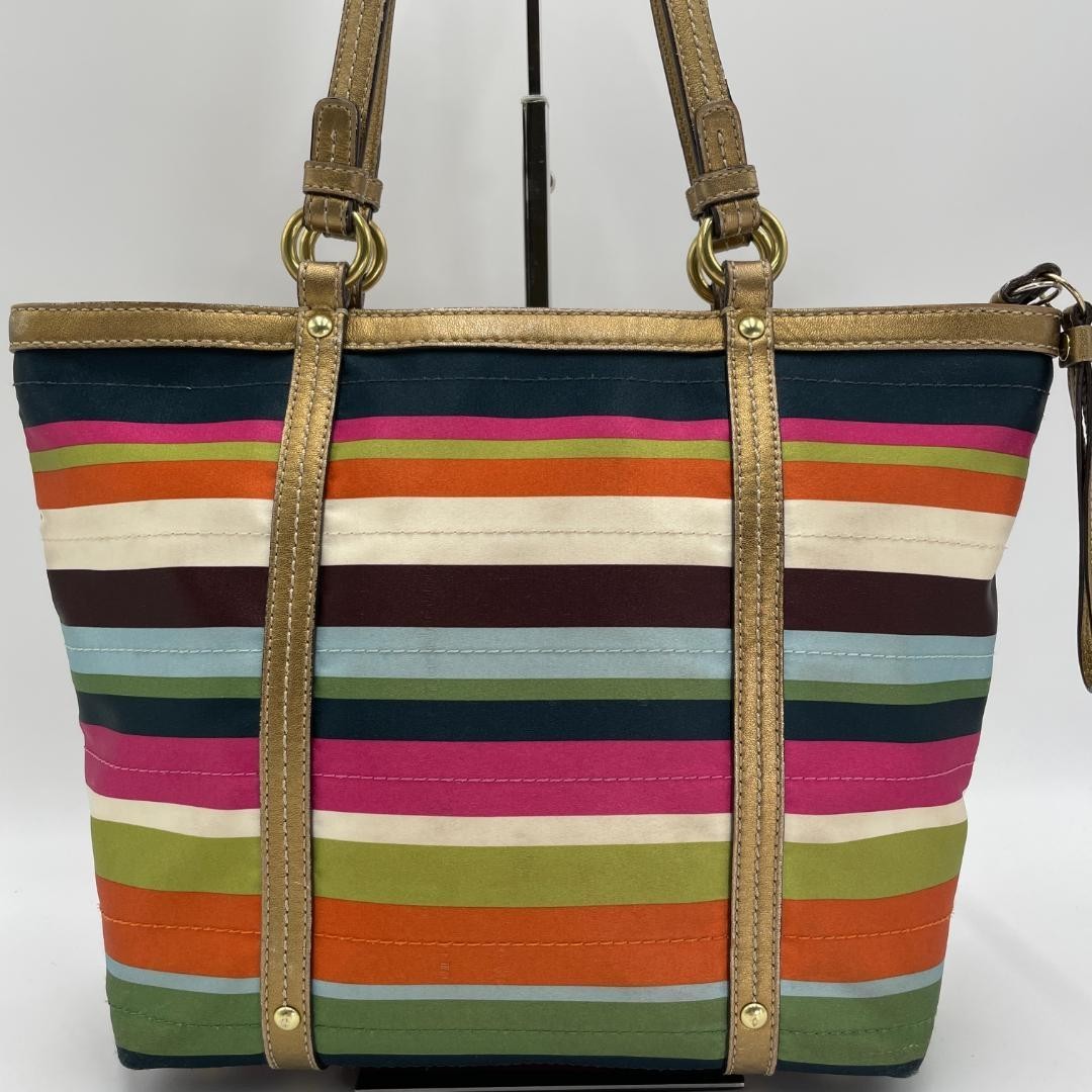 Coach Tote Bag Canvas Multicolor Stripe