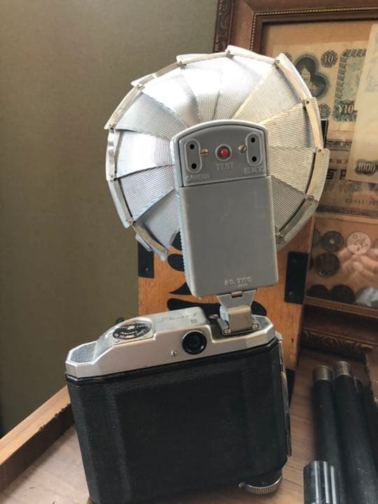 Retro Camera Tripod Color: Black Interior