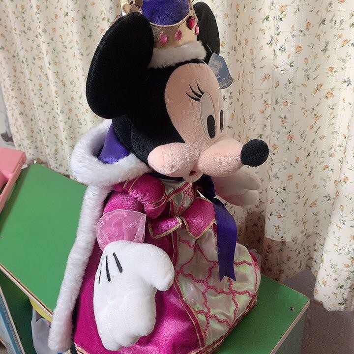 Minnie Mouse Cinderella Love 2006 Plush Toy