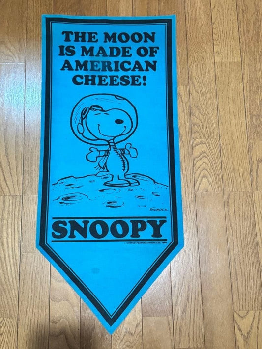 Rare 1970s Snoopy Astronaut Felt Banner Pennant Blue Peanuts Vintage Used JAPAN