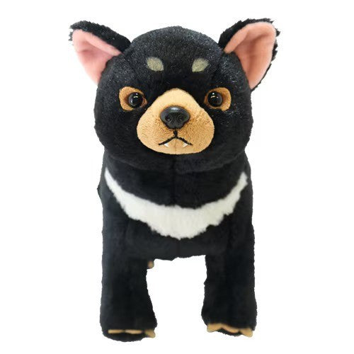 Tasmanian Devil Plush Fluffy's Soft Toy, Medium, Cute