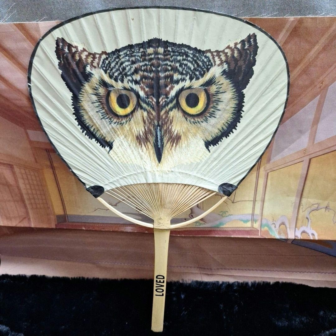Gucci owl Bamboo Fan Uchiwa Japan Limited rare from japan