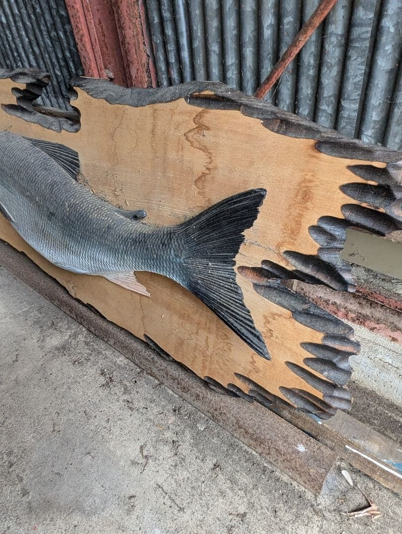Showa Retro Salmon Wood Carving Hokmpd Hokkaido Souvenir Used