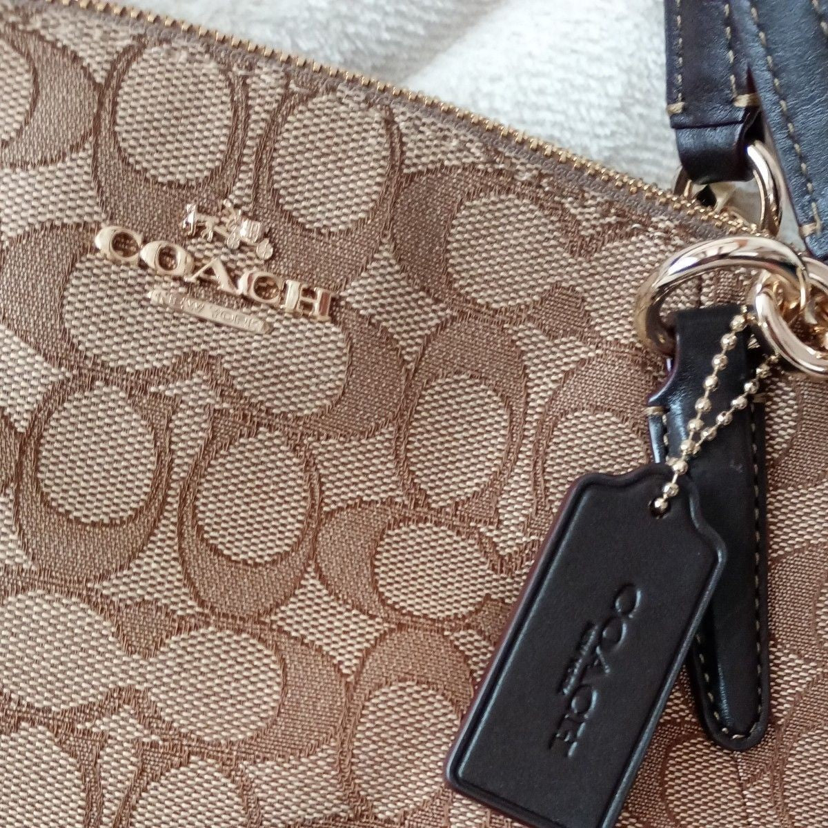 COACH Shoulder Bag Signature Tote Bag 2way Canvas Pochette Handbag