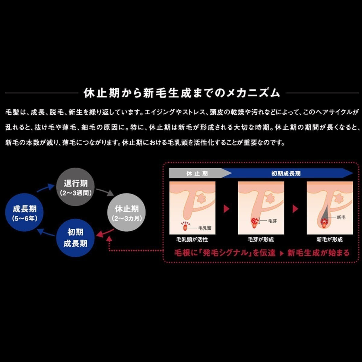 NEW SHISEIDO Adenovital Advanced SCALP ESSENCE 180ml | Growth & Volume Serum