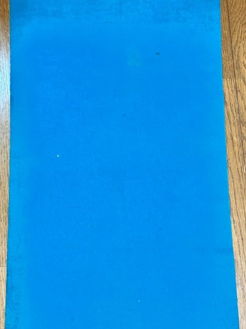 Rare 1970s Snoopy Astronaut Felt Banner Pennant Blue Peanuts Vintage Used JAPAN