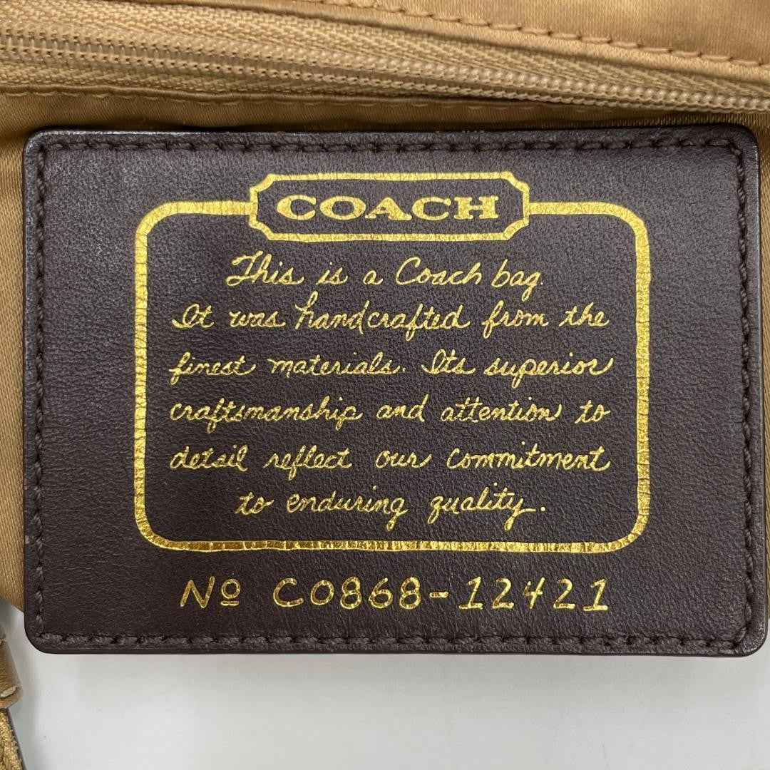 Coach Tote Bag Canvas Multicolor Stripe
