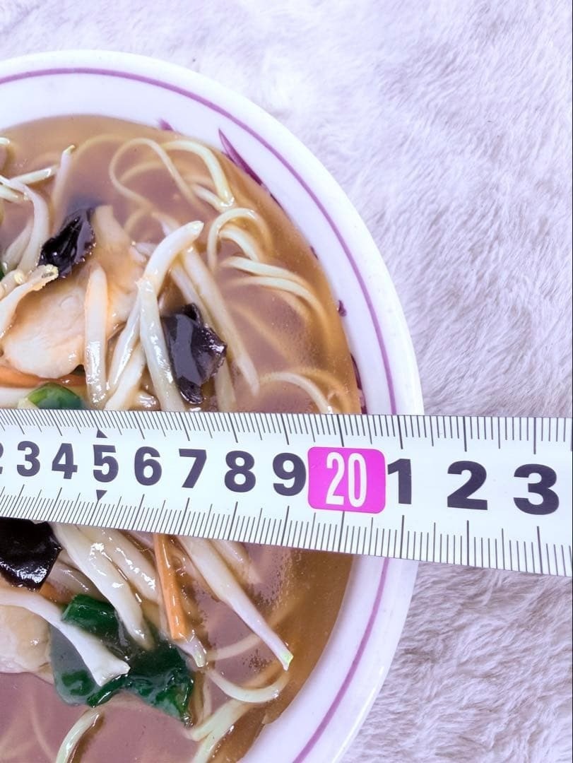 Ultra Realistic Japanese Ramen Food Sample Replica Display Japan