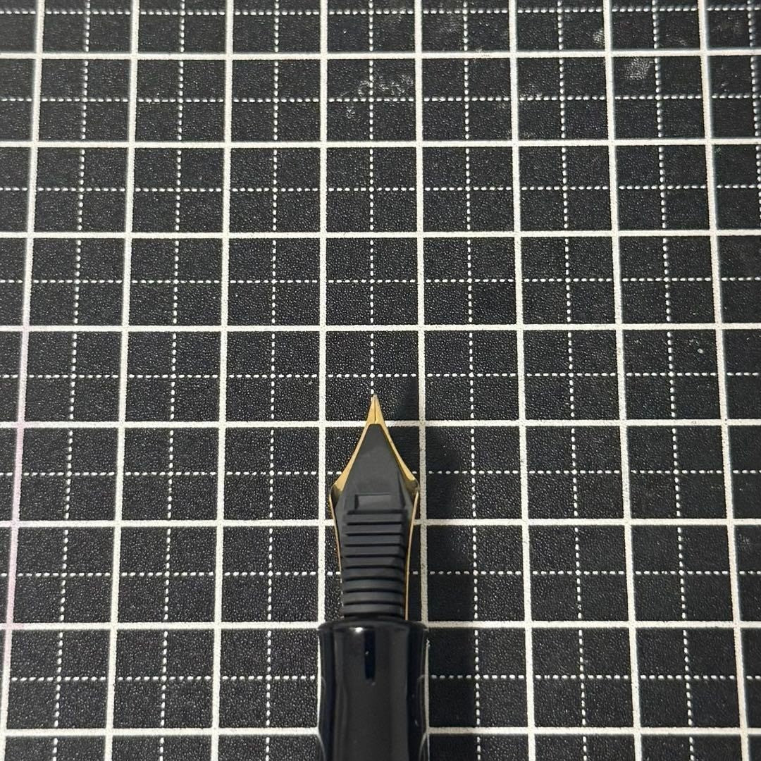 Platinum Fountain Pen #3776 Yakusugi Used Good Condition
