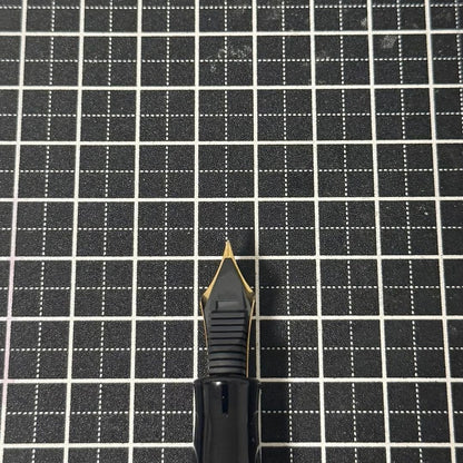 Platinum Fountain Pen #3776 Yakusugi Used Good Condition