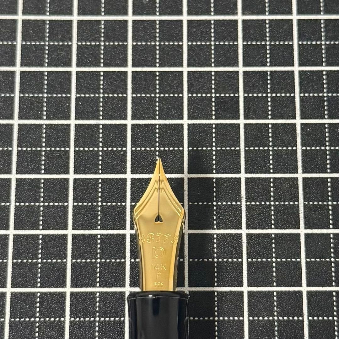 Platinum Fountain Pen #3776 Yakusugi Used Good Condition