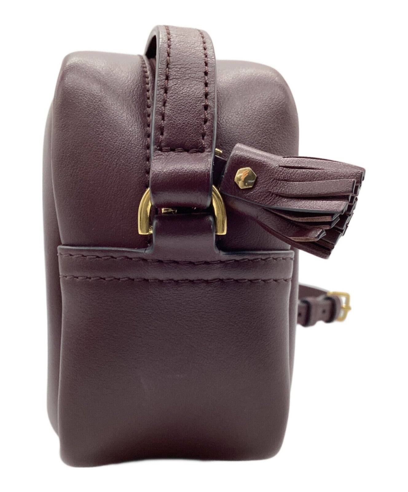 ANYA HINDMARCH Crossbody Mini Eyes Right in Circus Shoulder Bag Brown Authentic