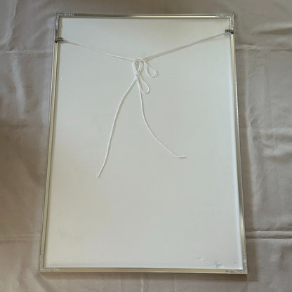 Plastic Tree Fukuro Framed Rare Promo Poster B2 Size Japanese Visual Kei Japan