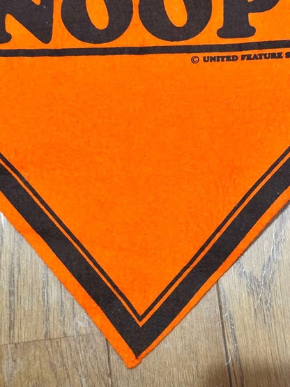 Rare 1970s Snoopy Astronaut Felt Banner Pennant Peanuts Vintage
