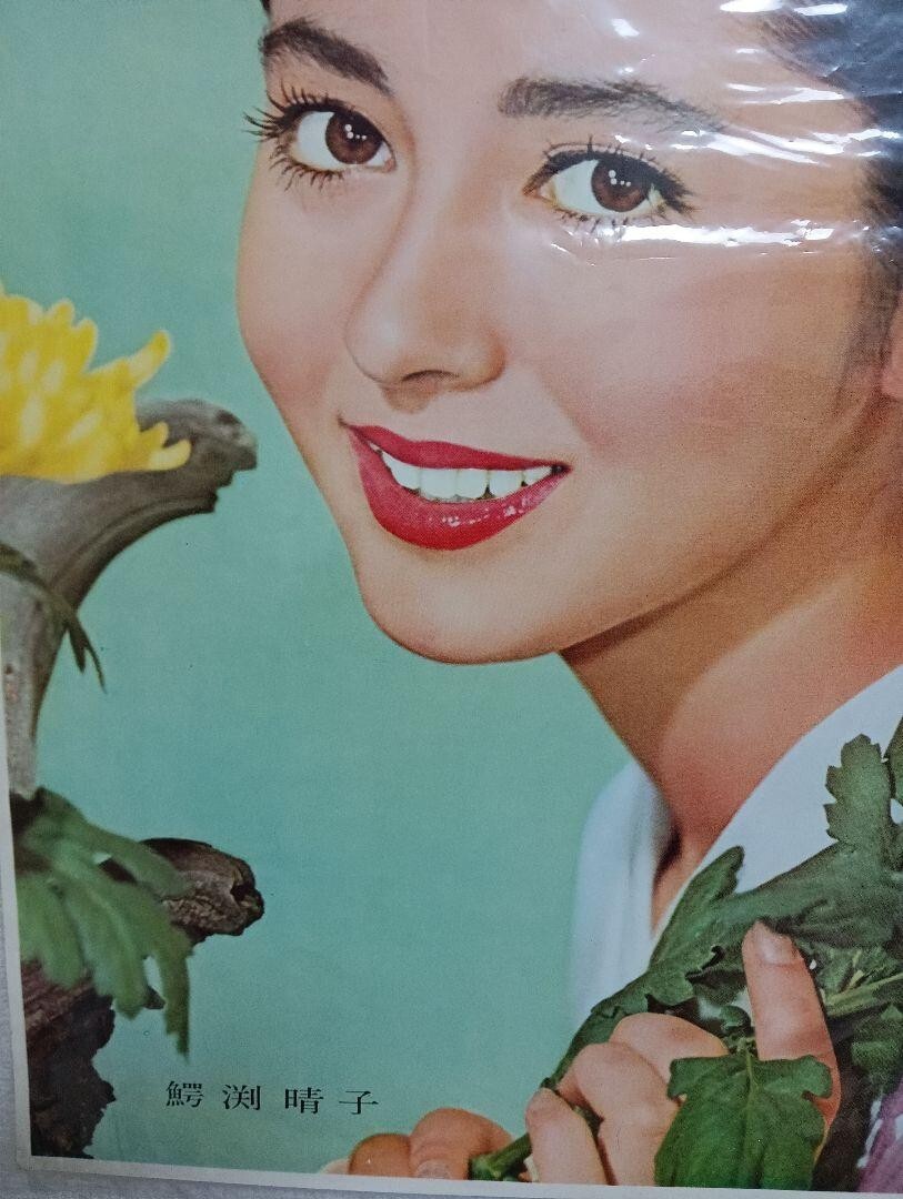 Showa retro period vertical Actress Haruko Wanibuchi printed poster item.