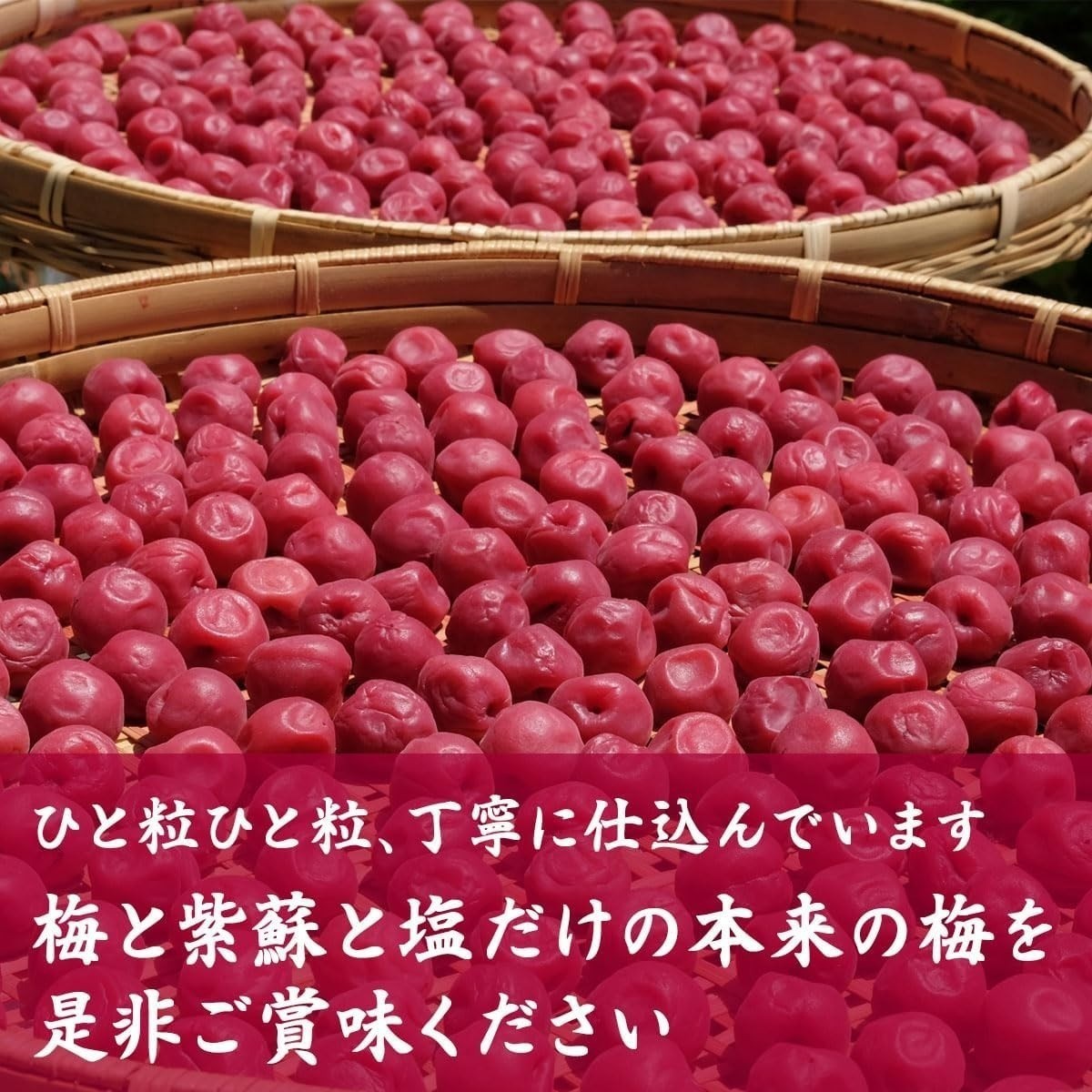 Kishu Nanko Umeboshi Pickled plums No additives Colourless 2kg From Japan