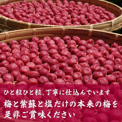 Kishu Nanko Umeboshi Pickled plums No additives Colourless 2kg From Japan